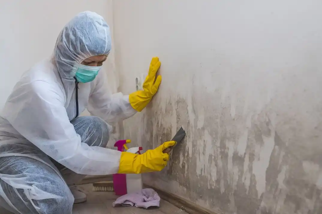 water damage restoration service Picadilly Ridge